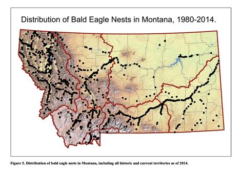 Bald Eagle Population Estimates (For 49 U.S. States).